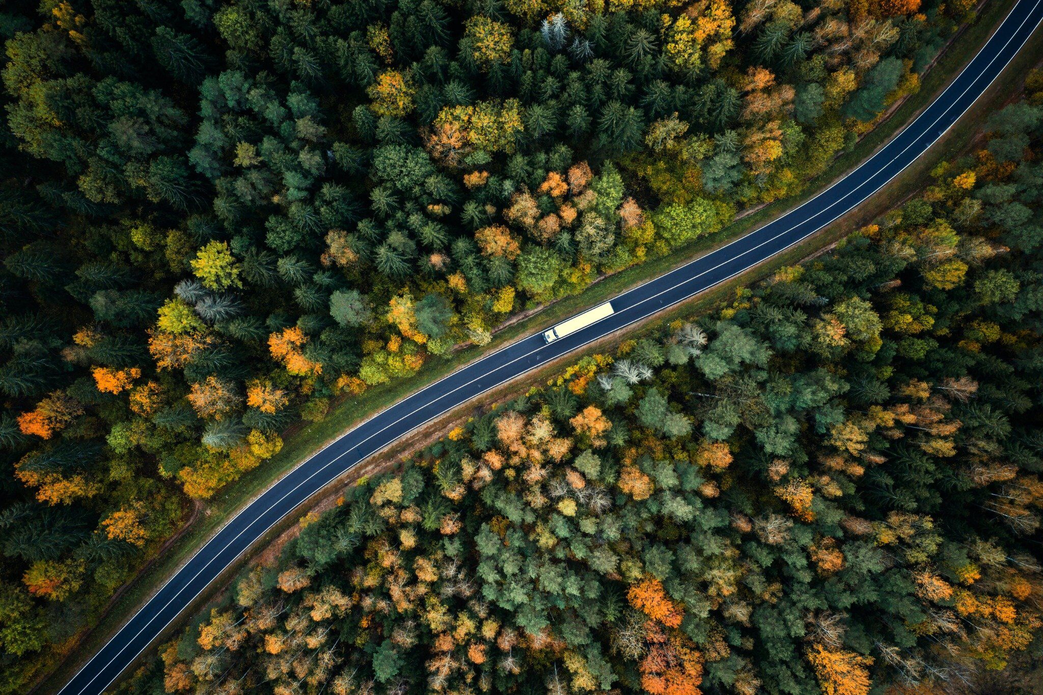 Route forêt camion, vue aérienne - TMS